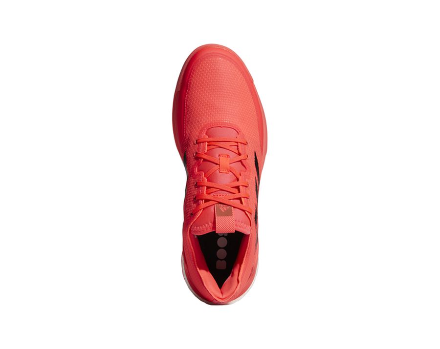 Adidas CrazyFlight Tokyo 室內鞋 (20)